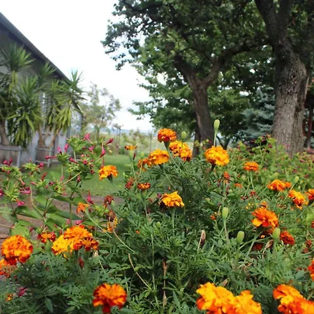 乡村民宿 Golden Rose Zánka