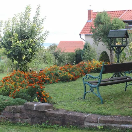 Golden Rose Casa rural *