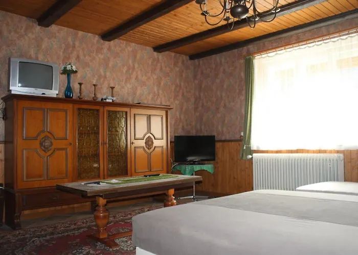 Golden Rose 乡村民宿 Zánka