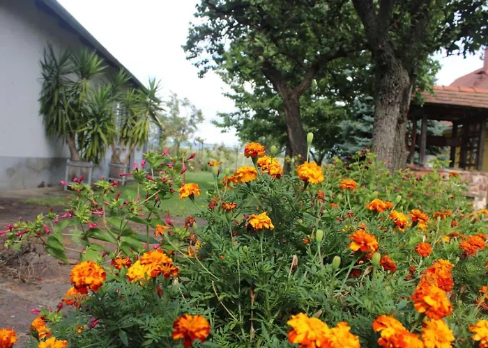 乡村民宿 Golden Rose Zánka