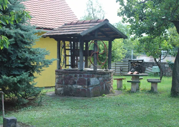 Golden Rose * Zánka