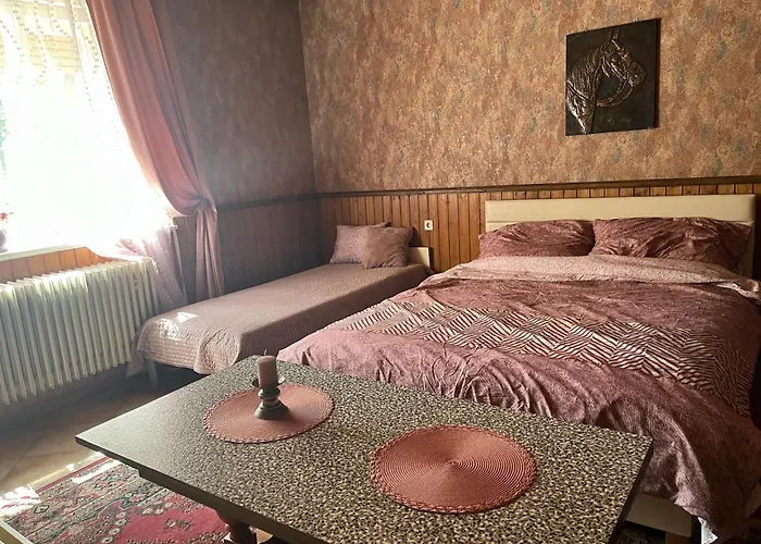 Golden Rose 乡村民宿